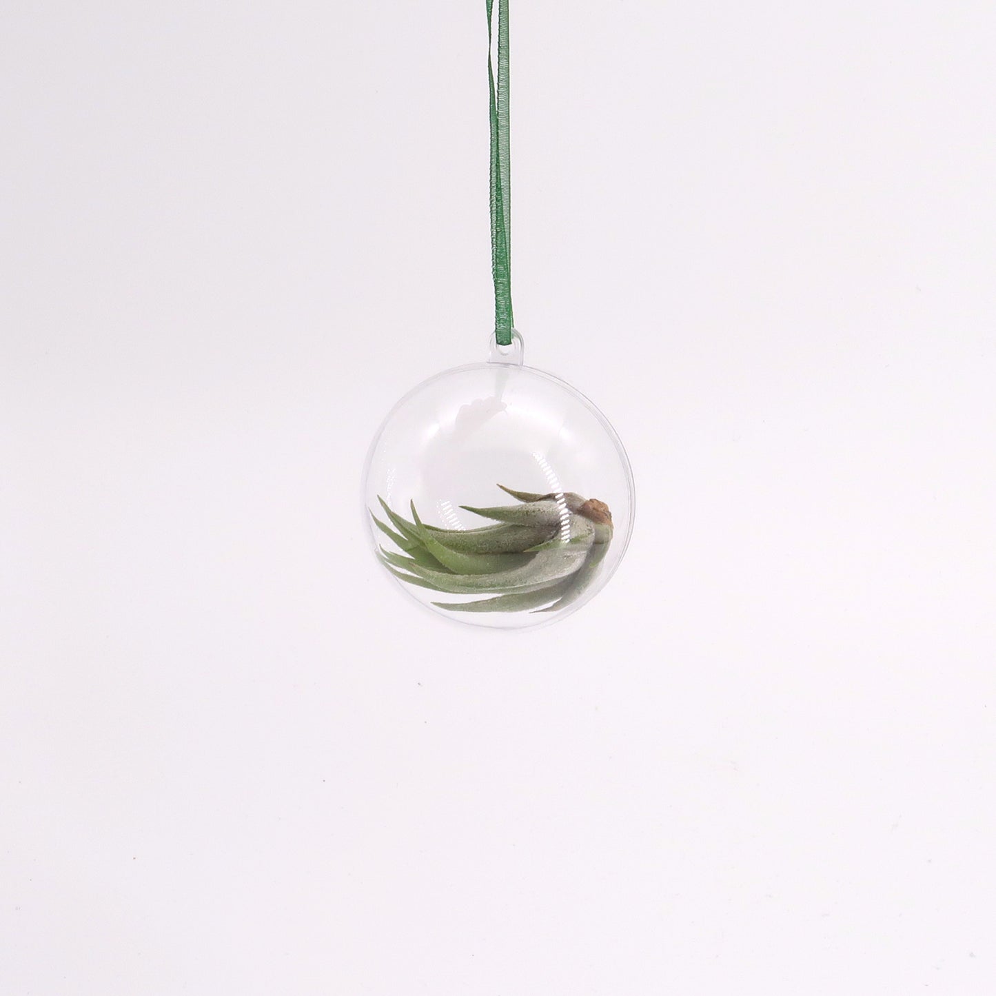 Plant sprayer