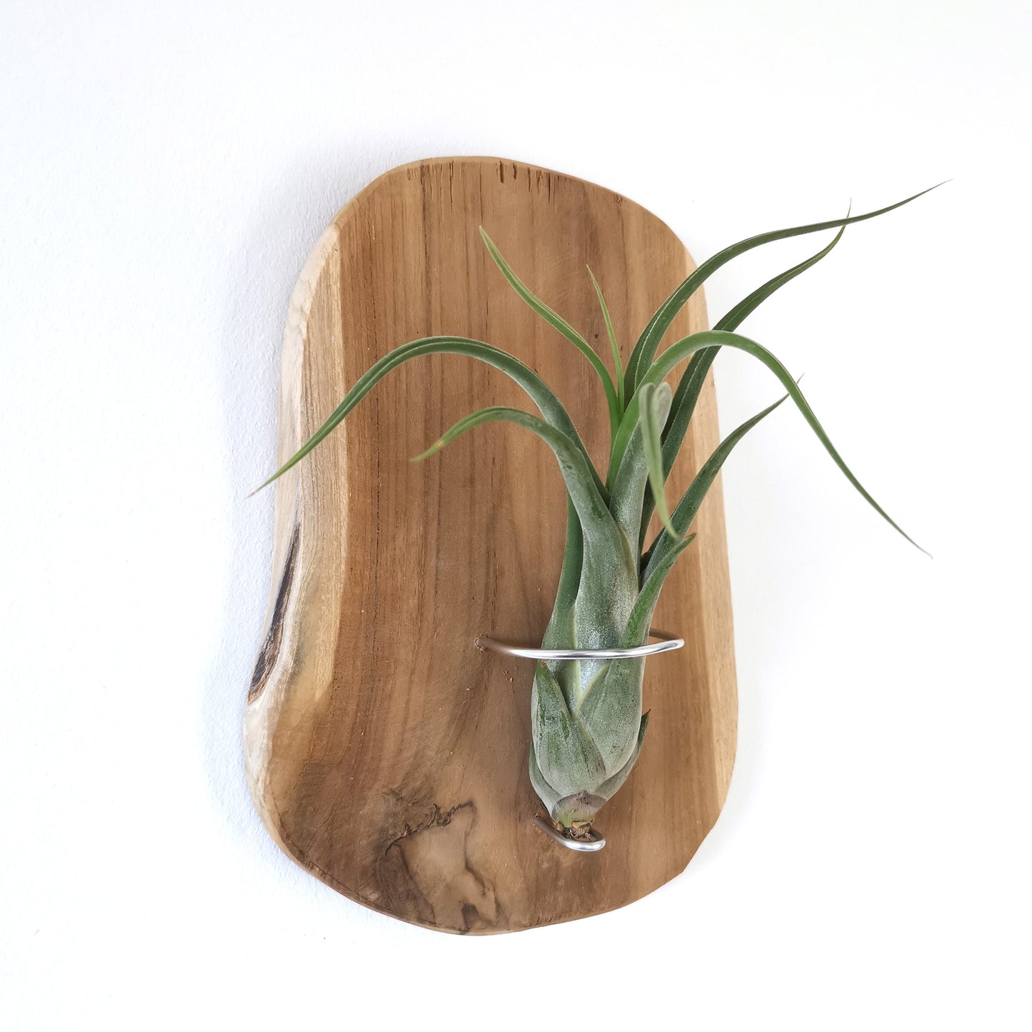 Set of 3 - wall holder wood