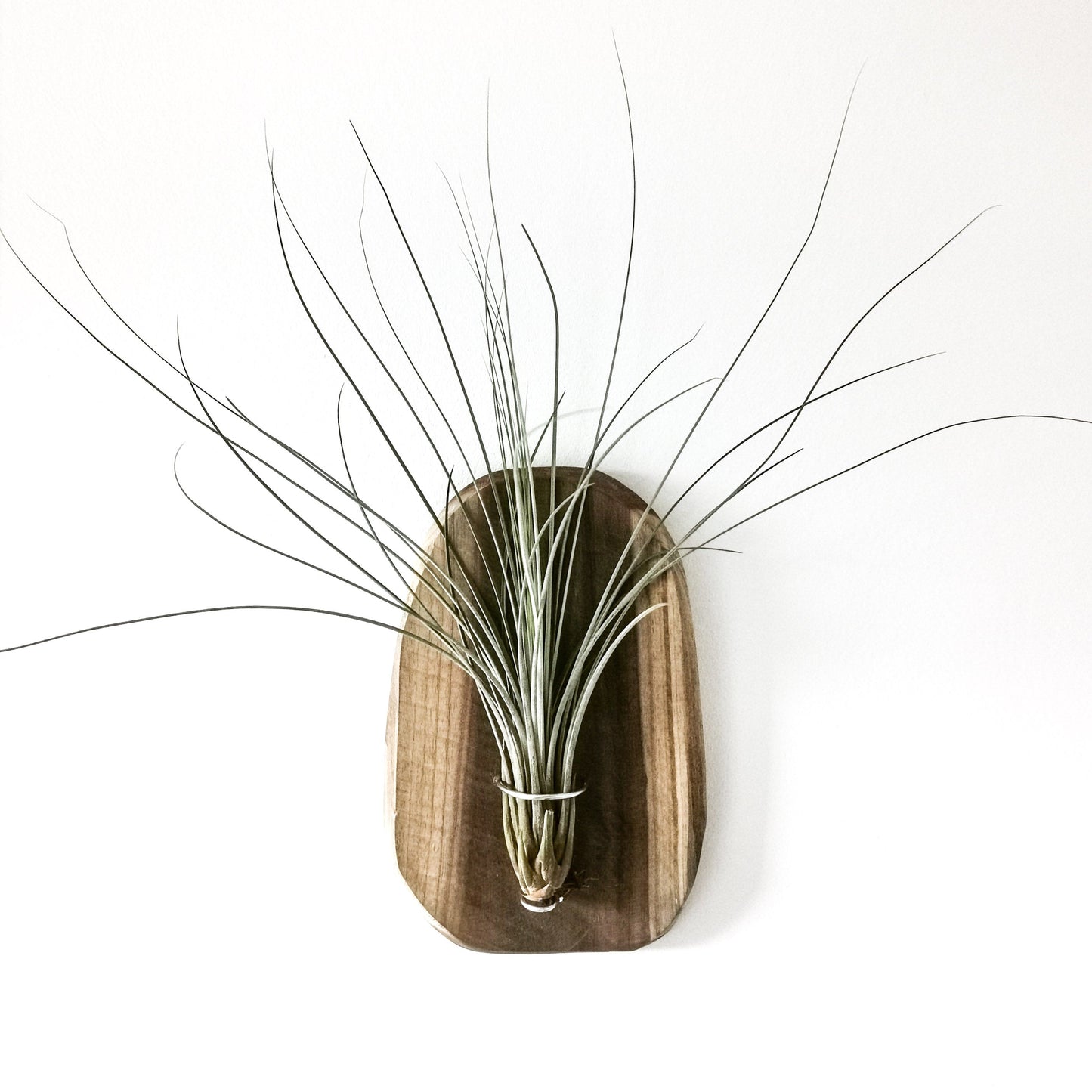 Set of 3 - wall holder wood