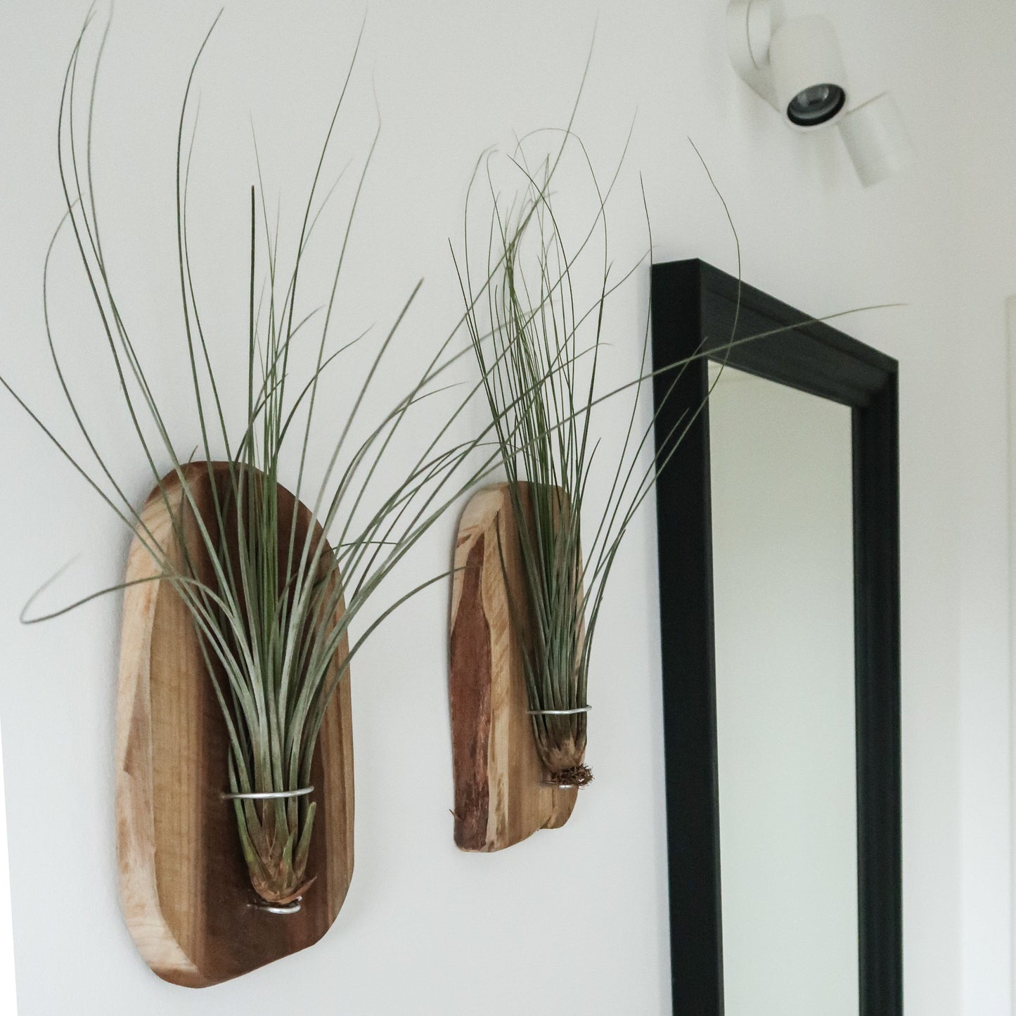 Set of 3 - wall holder wood