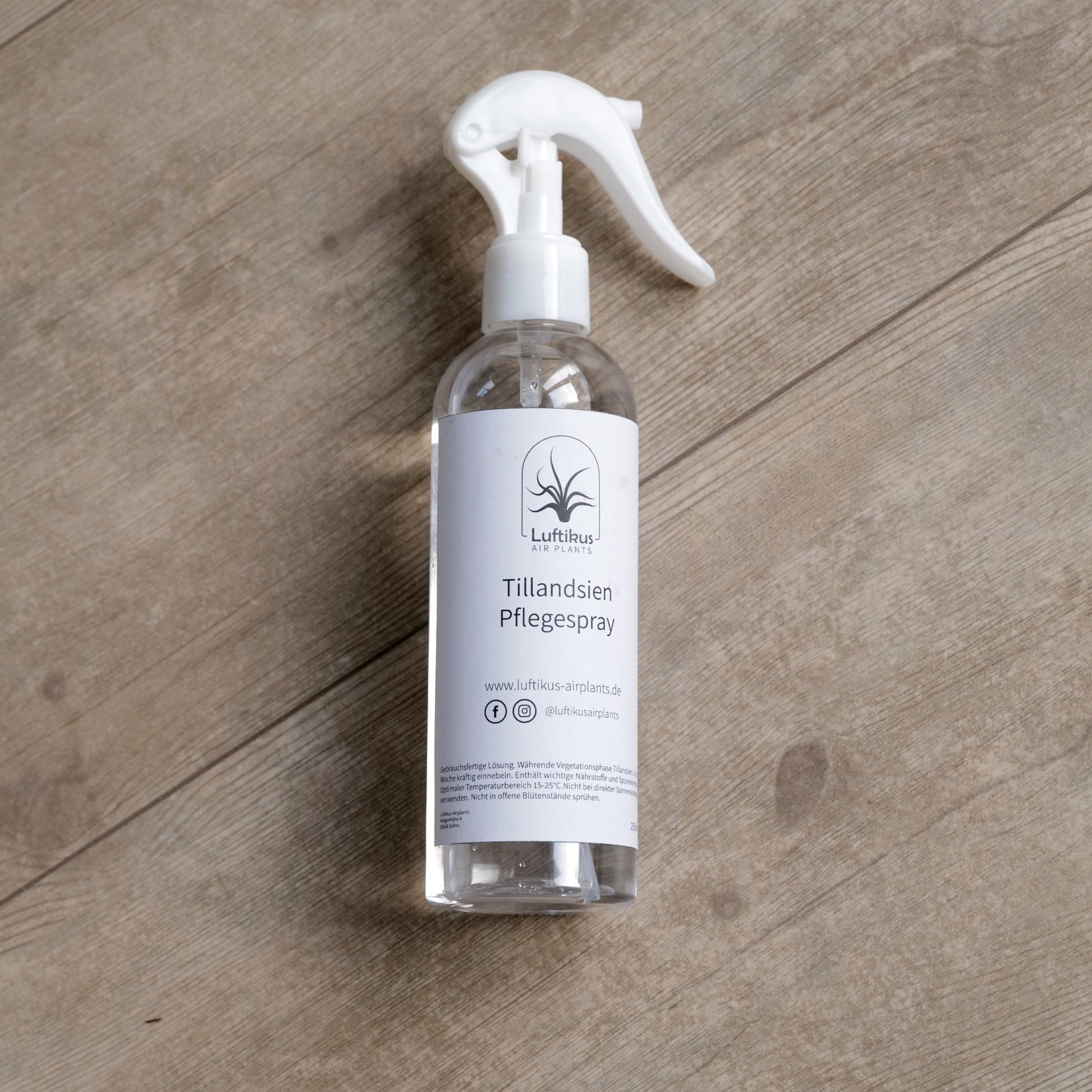 Sprühflasche - mit Tillandsienpflege auf Holzboden