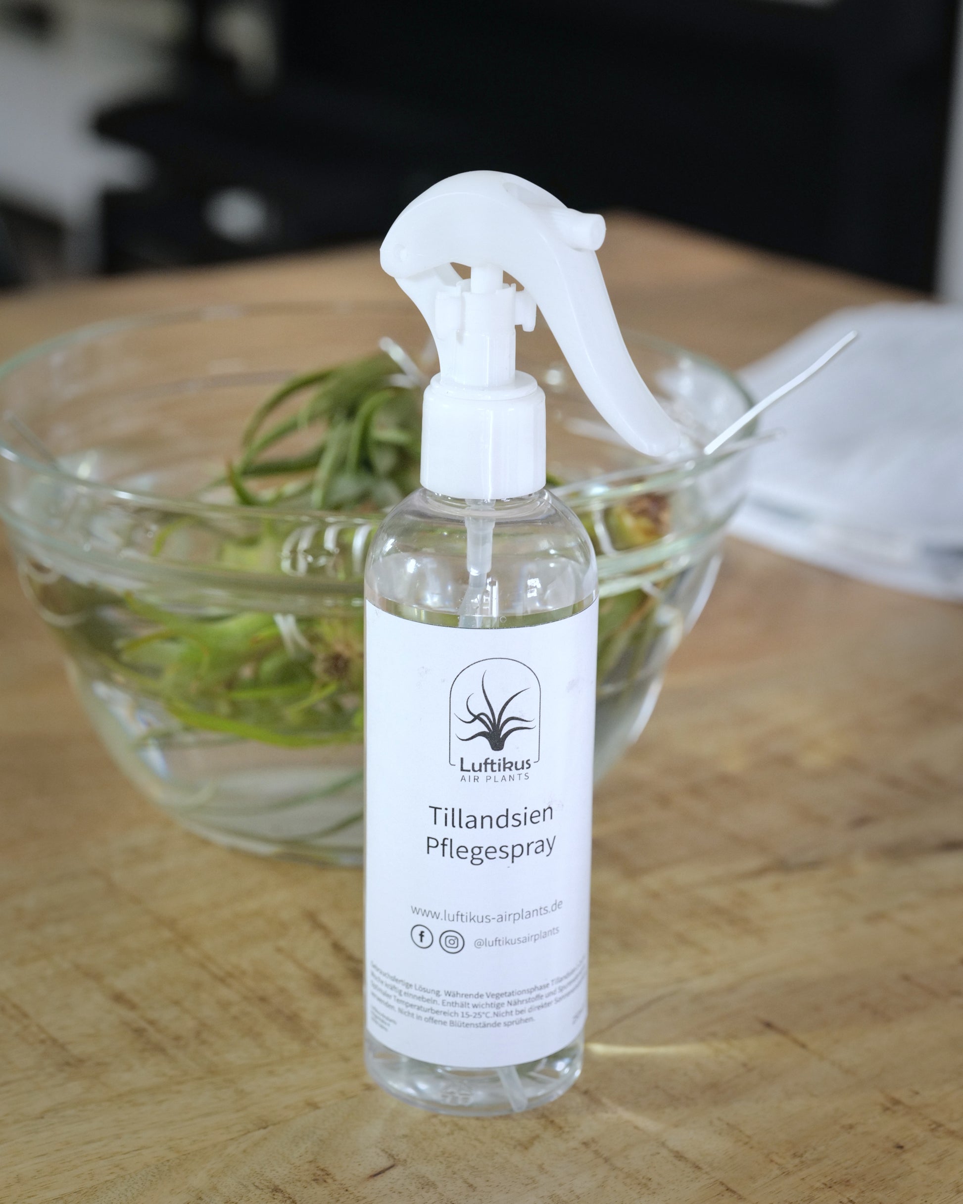 Sprühflasche - mit Tillandsienpflege auf Tisch
