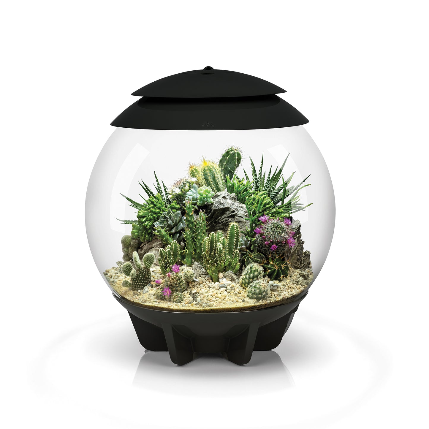 biOrb AIR 30 - plant terrarium